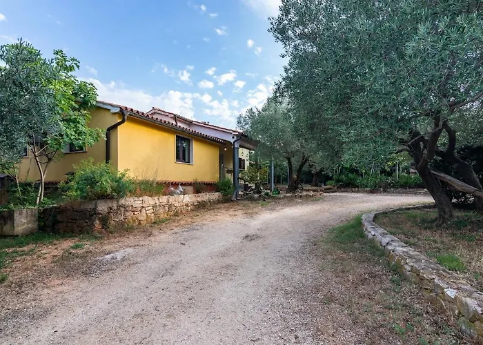 Truffle Baron For 2 Countryside Apartment *