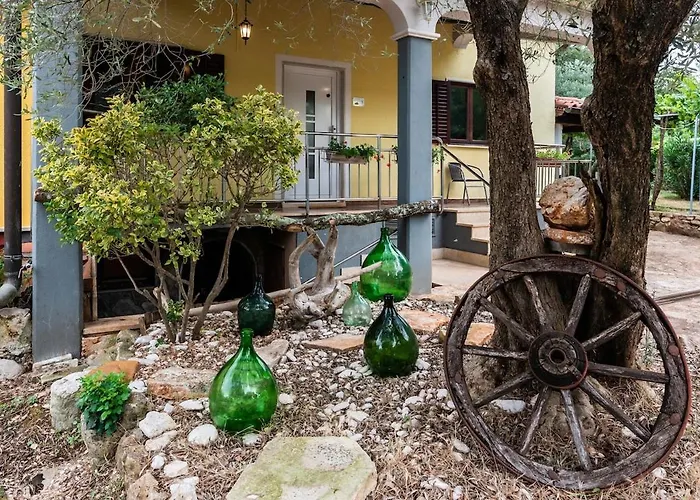 Truffle Baron For 2 Countryside Rovinj